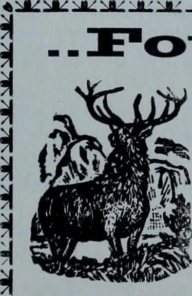 An illustration from Tissus et nouveauts 1901, 1901, leaf 362