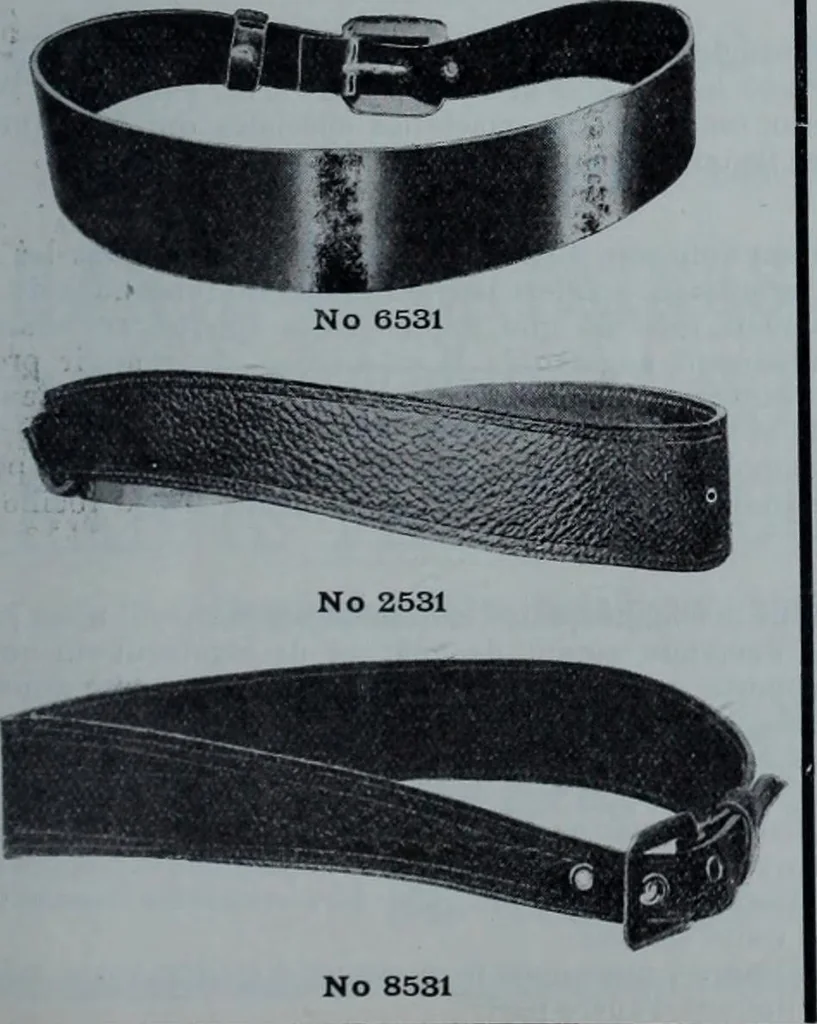 An illustration from Tissus et nouveauts 1901, 1901, leaf 382