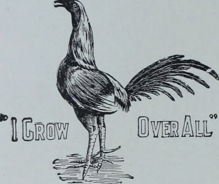 An illustration from Tissus et nouveauts 1901, 1901, leaf 389