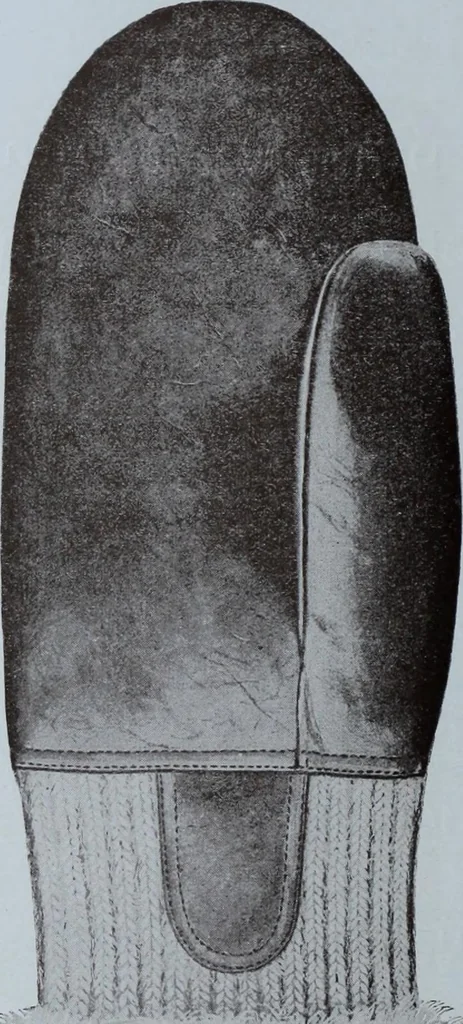 An illustration from Tissus et nouveauts 1901, 1901, leaf 41