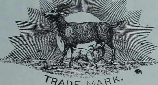An illustration from Tissus et nouveauts 1901, 1901, leaf 460