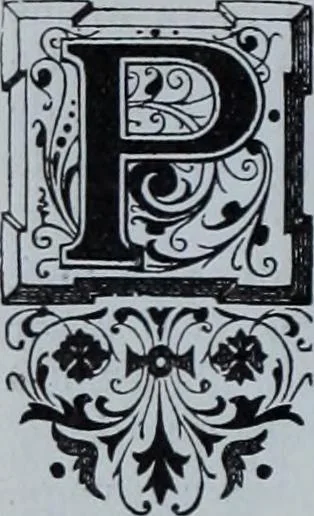 An illustration from Tissus et nouveauts 1901, 1901, leaf 483