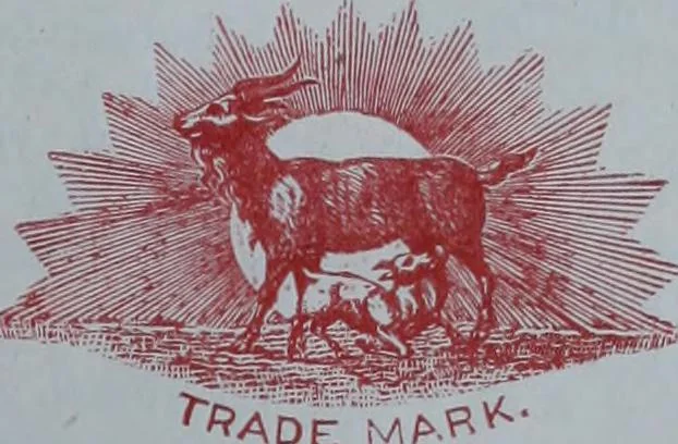 An illustration from Tissus et nouveauts 1901, 1901, leaf 496