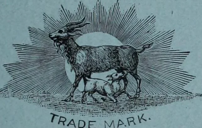 An illustration from Tissus et nouveauts 1901, 1901, leaf 562