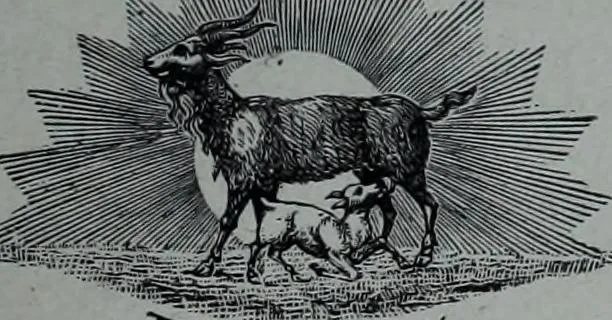 An illustration from Tissus et nouveauts 1901, 1901, leaf 570