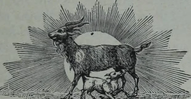 An illustration from Tissus et nouveauts 1901, 1901, leaf 614