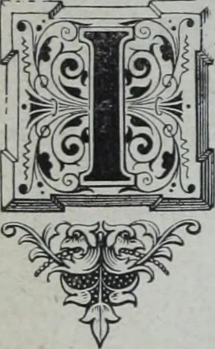 An illustration from Tissus et nouveauts 1901, 1901, leaf 635