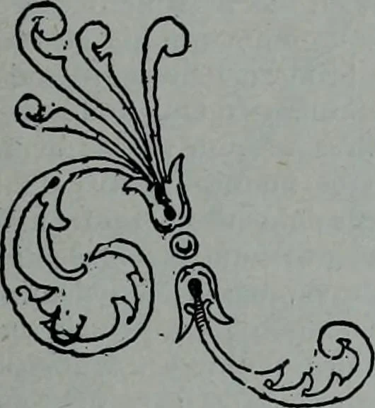 An illustration from Tissus et nouveauts 1902, 1902, leaf 108