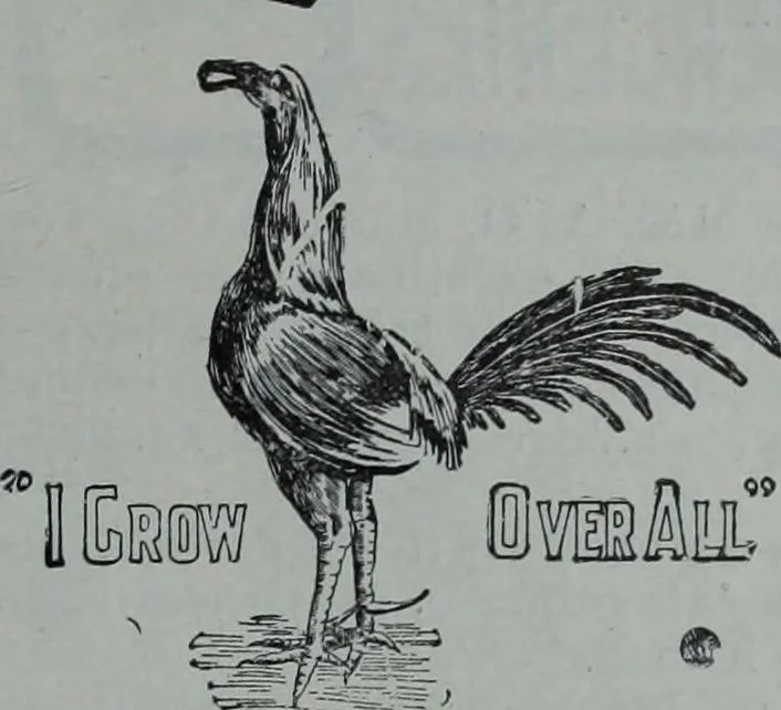 An illustration from Tissus et nouveauts 1902, 1902, leaf 122
