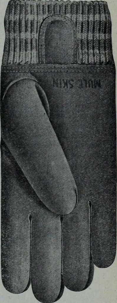 An illustration from Tissus et nouveauts 1902, 1902, leaf 130