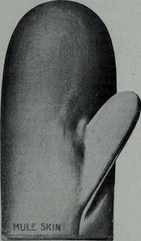 An illustration from Tissus et nouveauts 1902, 1902, leaf 156