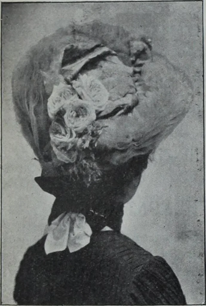 An illustration from Tissus et nouveauts 1902, 1902, leaf 165