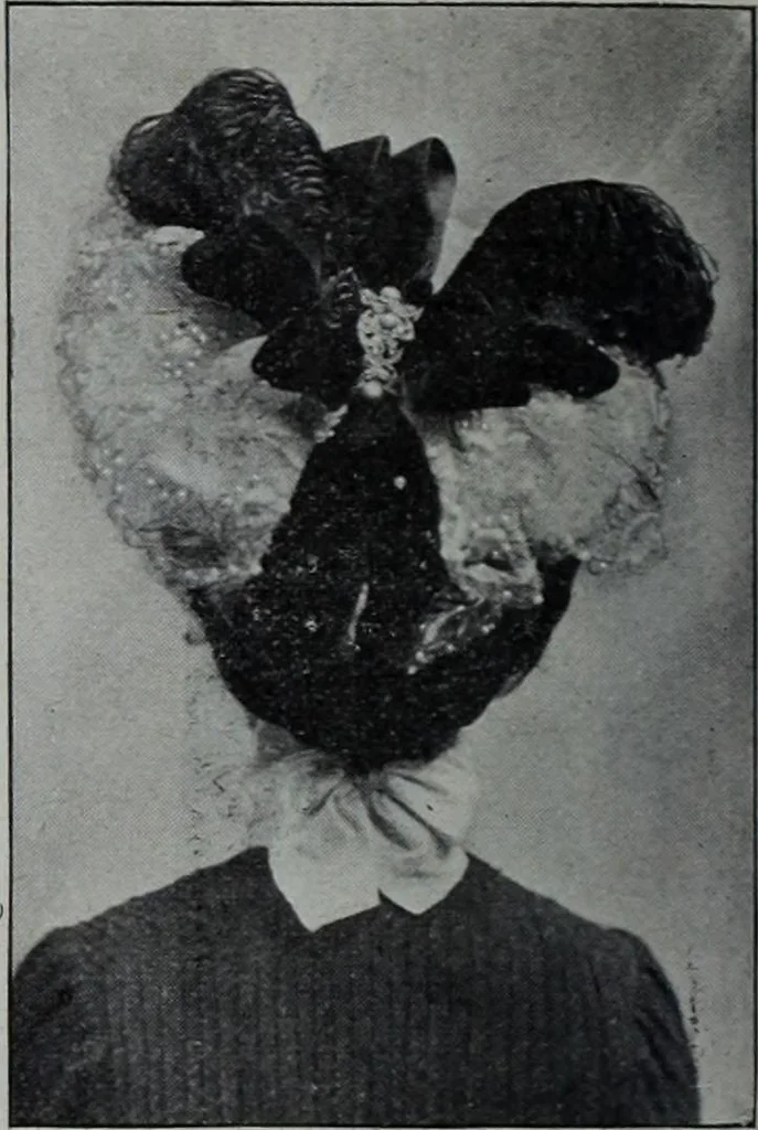 An illustration from Tissus et nouveauts 1902, 1902, leaf 165