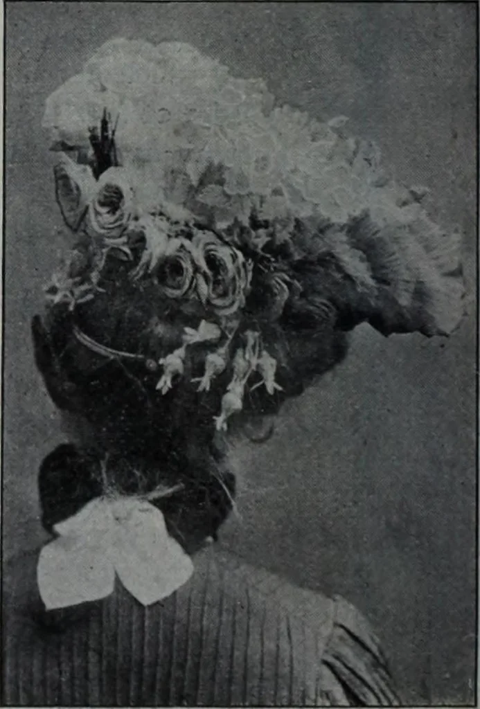 An illustration from Tissus et nouveauts 1902, 1902, leaf 165