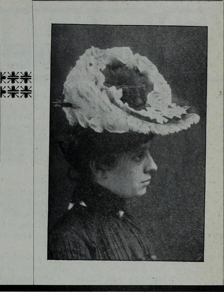An illustration from Tissus et nouveauts 1902, 1902, leaf 168