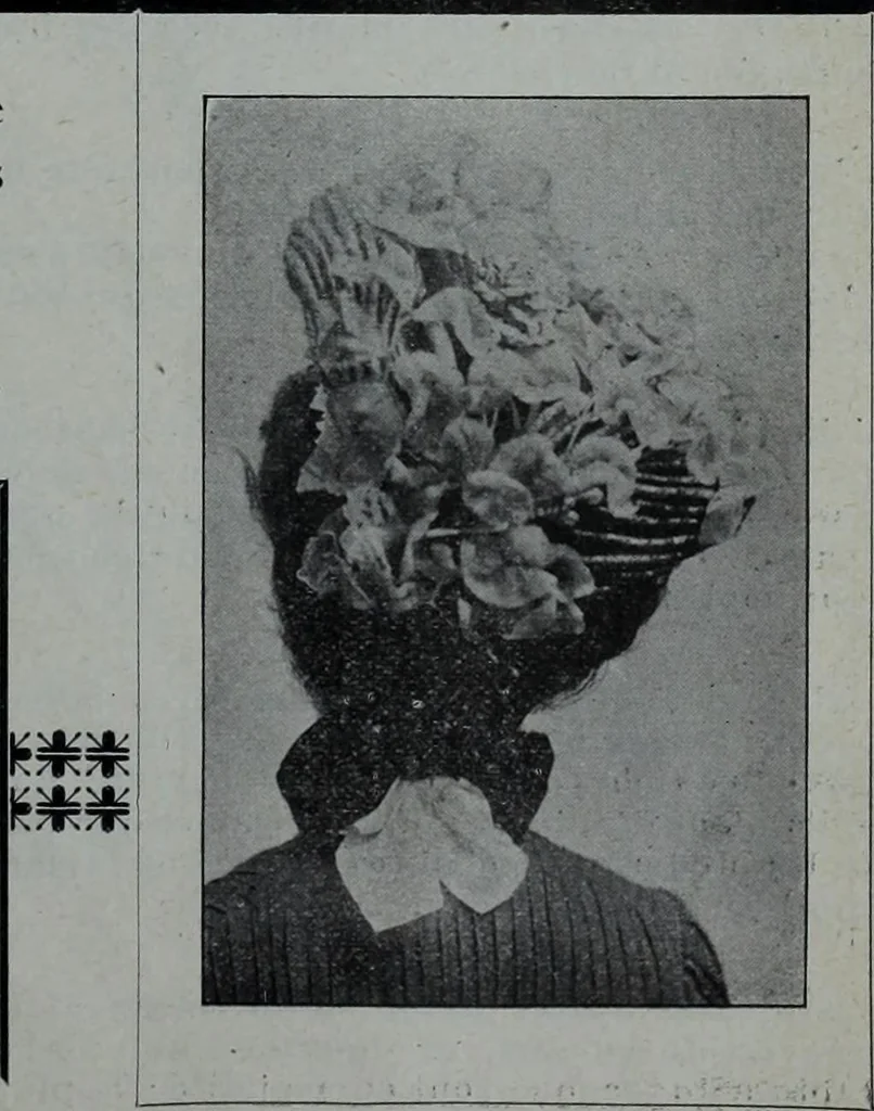 An illustration from Tissus et nouveauts 1902, 1902, leaf 168