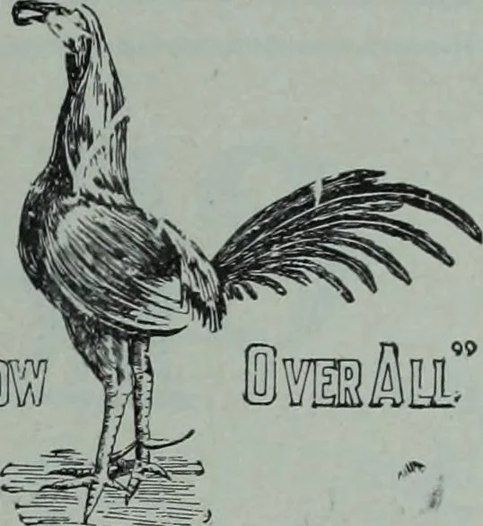 An illustration from Tissus et nouveauts 1902, 1902, leaf 192