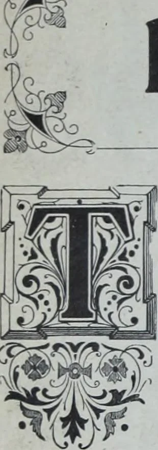 An illustration from Tissus et nouveauts 1902, 1902, leaf 27