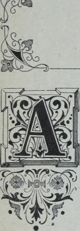 An illustration from Tissus et nouveauts 1902, 1902, leaf 35