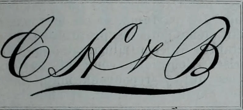 An illustration from Tissus et nouveauts 1902, 1902, leaf 402