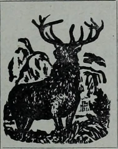 An illustration from Tissus et nouveauts 1902, 1902, leaf 48