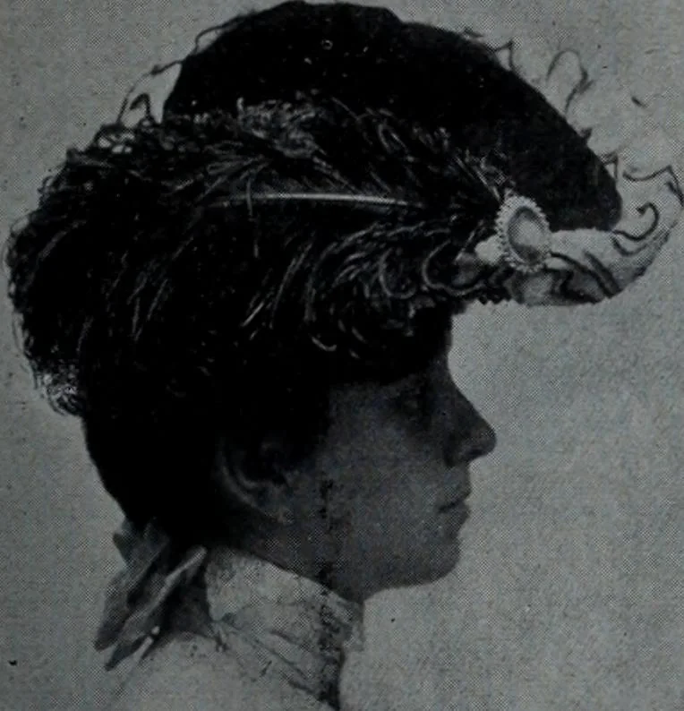 An illustration from Tissus et nouveauts 1902, 1902, leaf 496