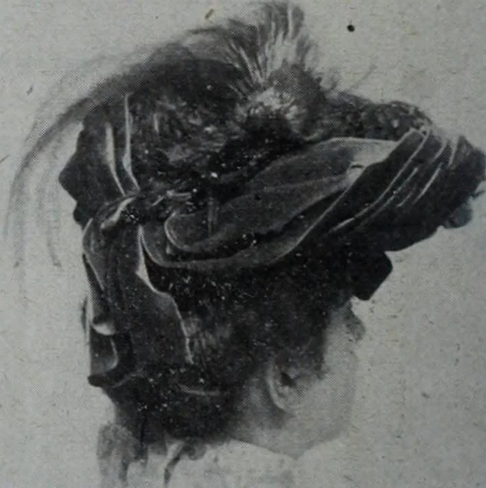An illustration from Tissus et nouveauts 1902, 1902, leaf 499