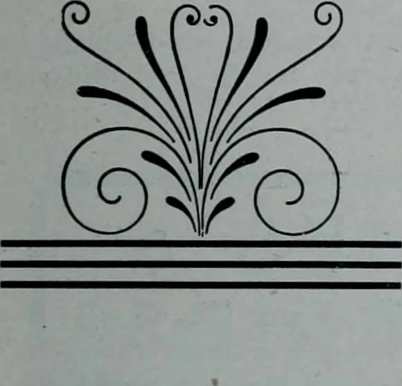 An illustration from Tissus et nouveauts 1902, 1902, leaf 616