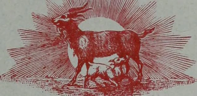 An illustration from Tissus et nouveauts 1902, 1902, leaf 66
