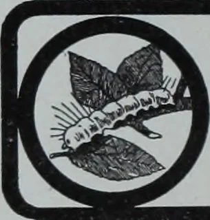 An illustration from Tissus et nouveauts 1903, 1903, leaf 123