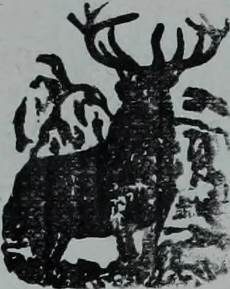 An illustration from Tissus et nouveauts 1903, 1903, leaf 128