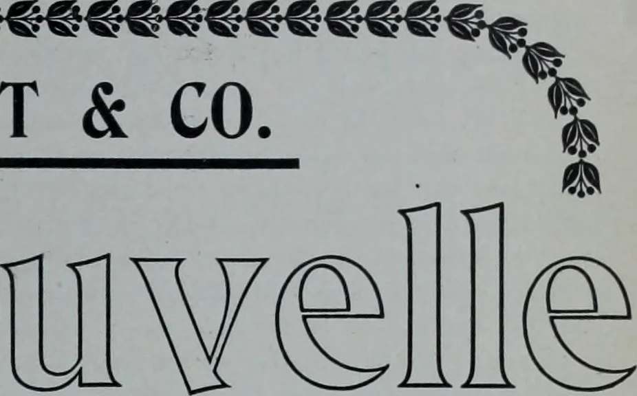 An illustration from Tissus et nouveauts 1903, 1903, leaf 154
