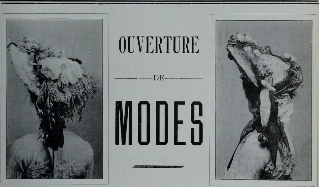 An illustration from Tissus et nouveauts 1903, 1903, leaf 160