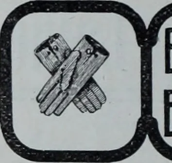 An illustration from Tissus et nouveauts 1903, 1903, leaf 179