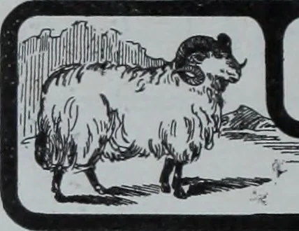 An illustration from Tissus et nouveauts 1903, 1903, leaf 211