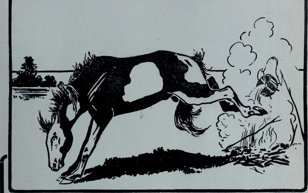 An illustration from Tissus et nouveauts 1903, 1903, leaf 304