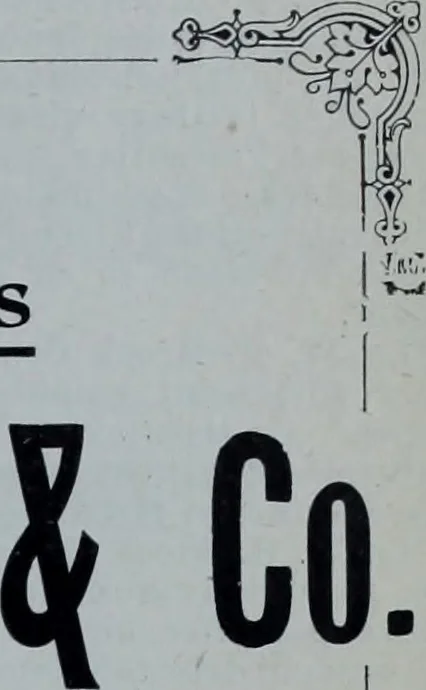 An illustration from Tissus et nouveauts 1903, 1903, leaf 306
