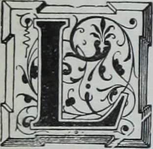 An illustration from Tissus et nouveauts 1903, 1903, leaf 37
