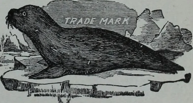 An illustration from Tissus et nouveauts 1903, 1903, leaf 38