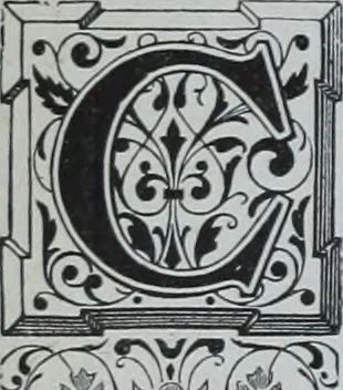 An illustration from Tissus et nouveauts 1903, 1903, leaf 45