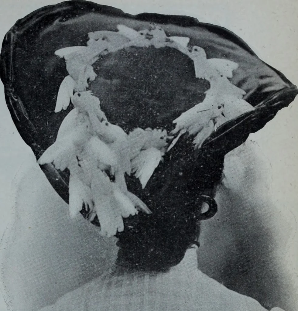 An illustration from Tissus et nouveauts 1903, 1903, leaf 532