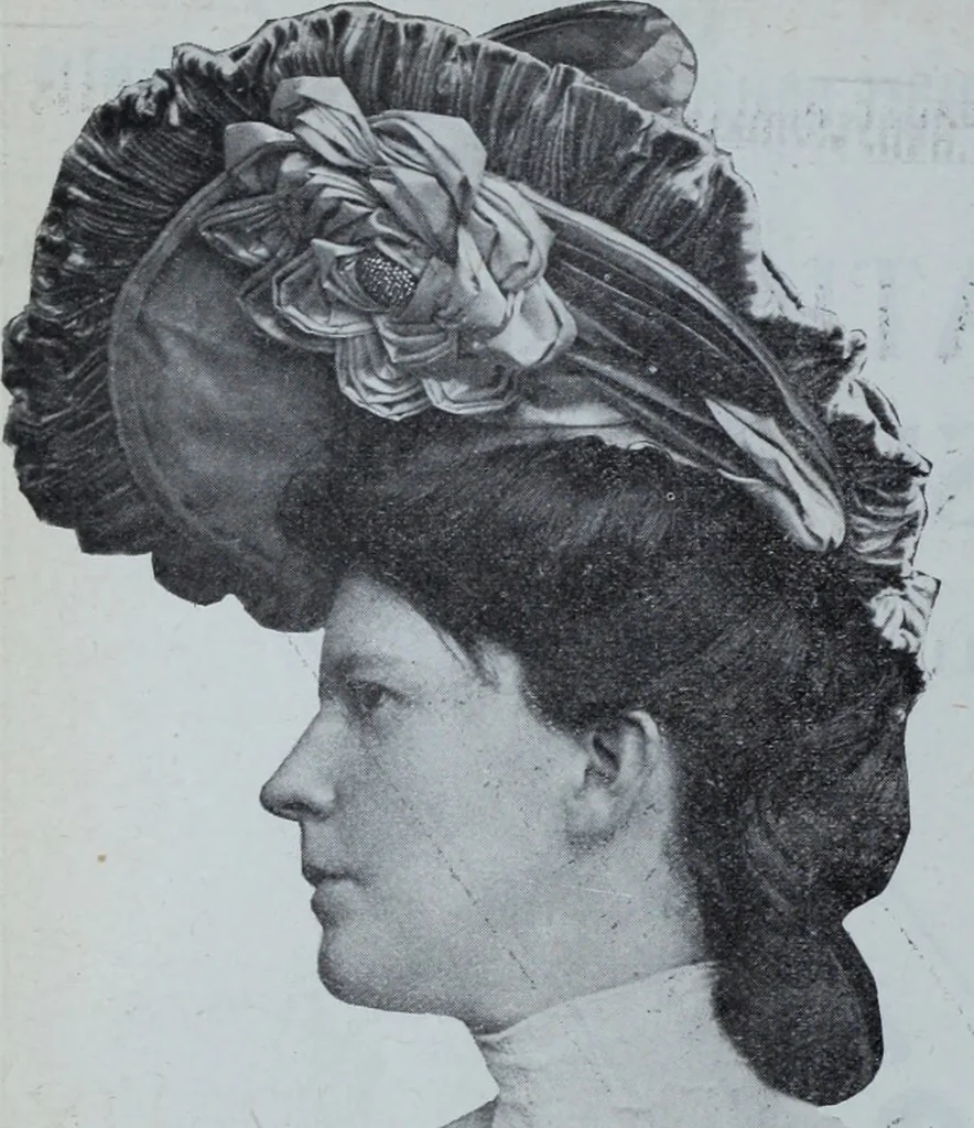 An illustration from Tissus et nouveauts 1903, 1903, leaf 541