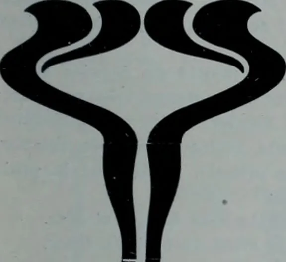An illustration from Tissus et nouveauts 1903, 1903, leaf 622
