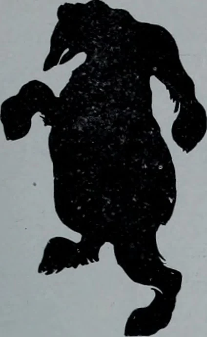 An illustration from Tissus et nouveauts 1903, 1903, leaf 664