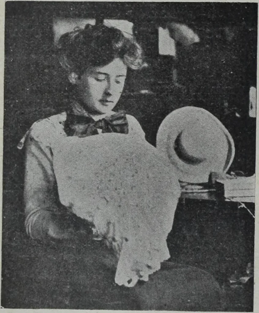 An illustration from Tissus et nouveauts 1904, 1904, leaf 101