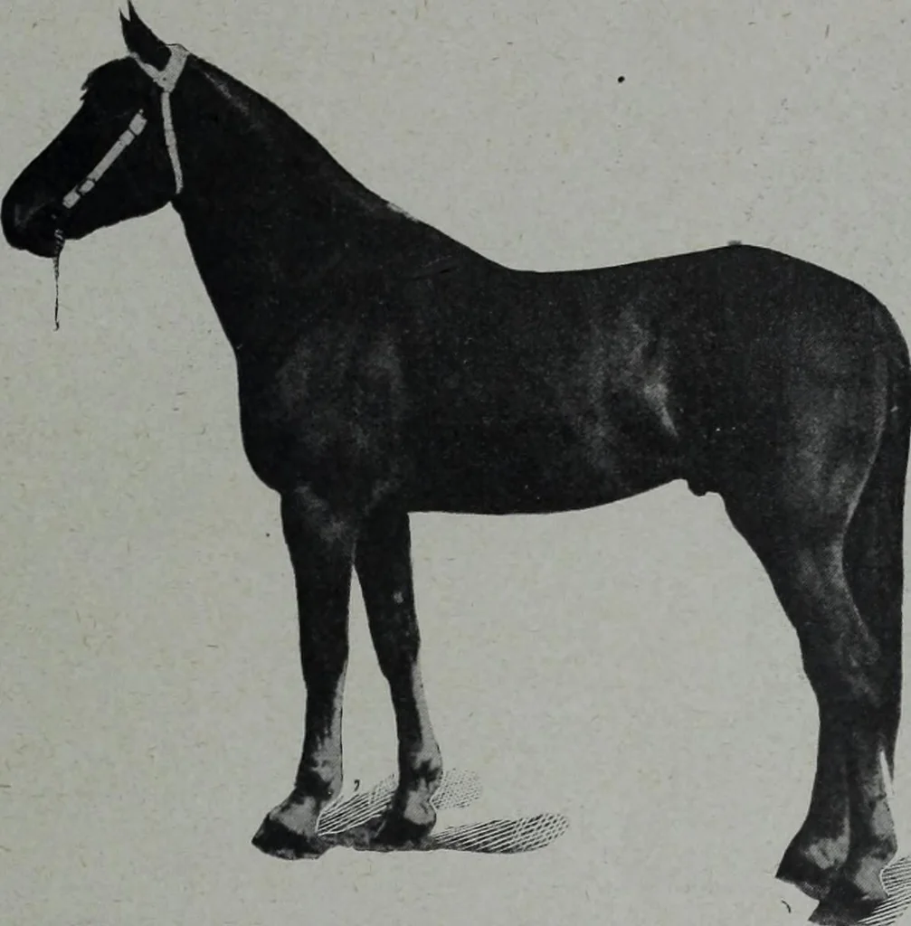 An illustration from Tissus et nouveauts 1904, 1904, leaf 114