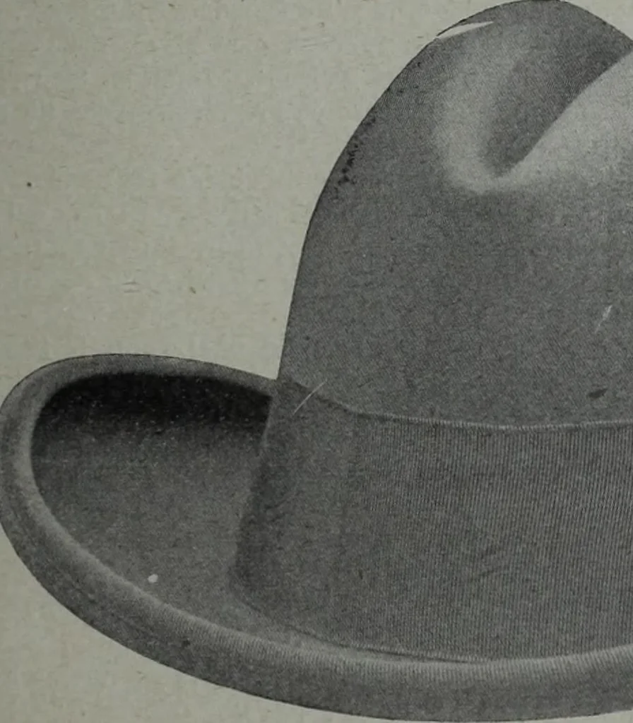 An illustration from Tissus et nouveauts 1904, 1904, leaf 134