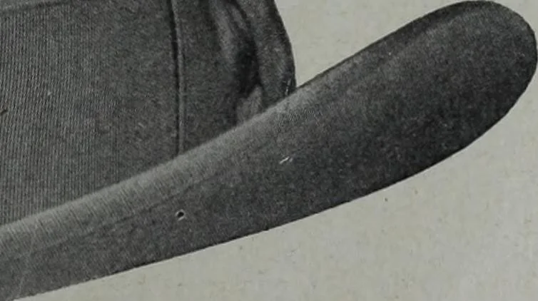 An illustration from Tissus et nouveauts 1904, 1904, leaf 134