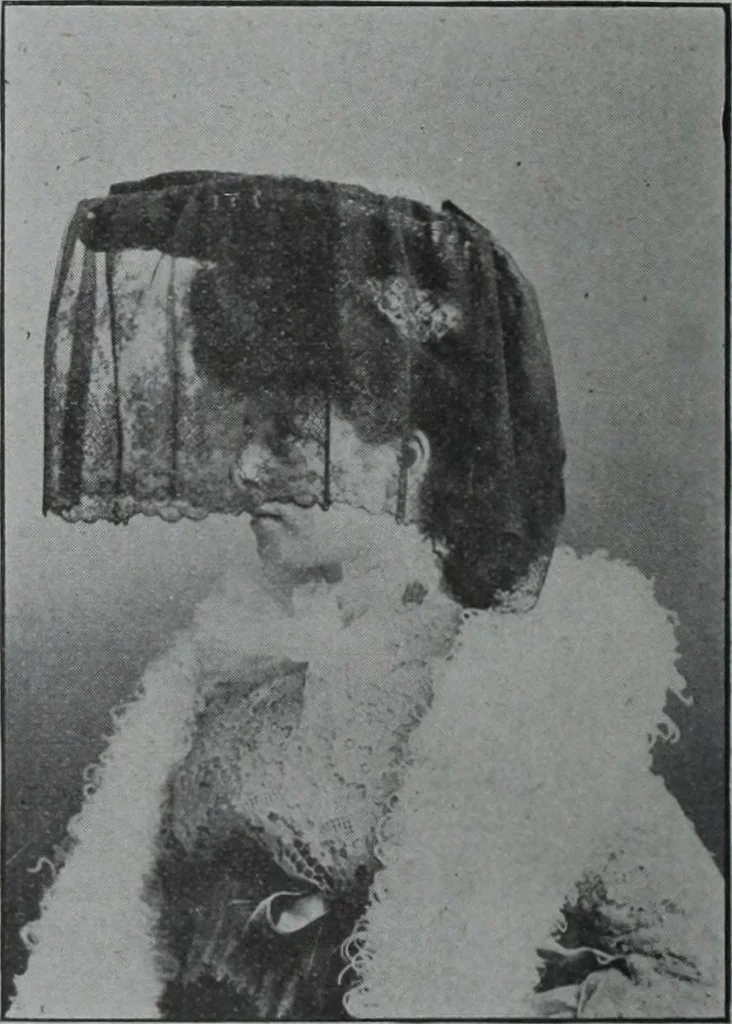 An illustration from Tissus et nouveauts 1904, 1904, leaf 197