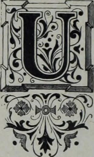 An illustration from Tissus et nouveauts 1904, 1904, leaf 25